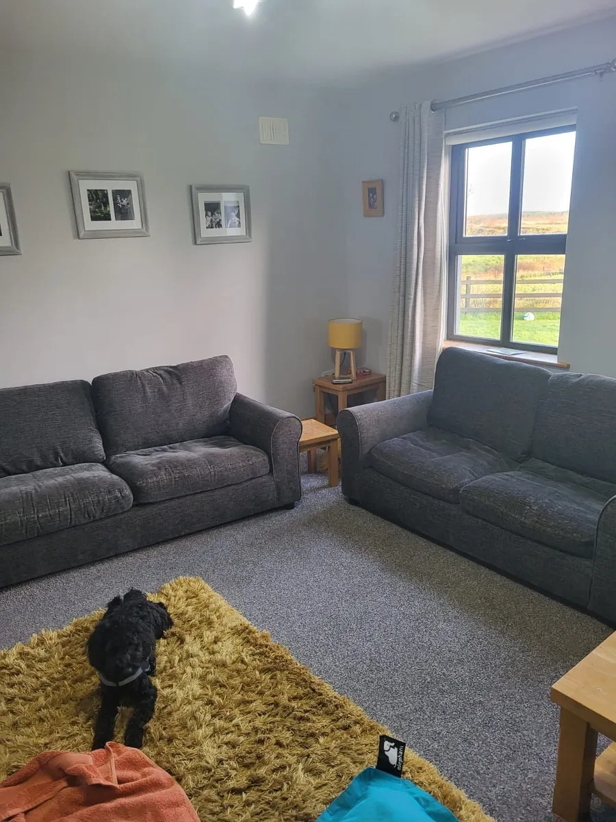 2 and  3 seater Couches - Image 4