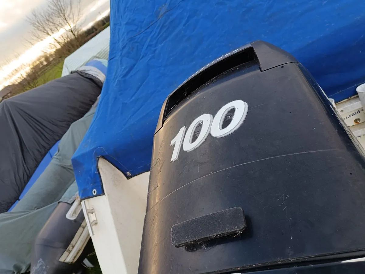 Mercury 100 - Image 2