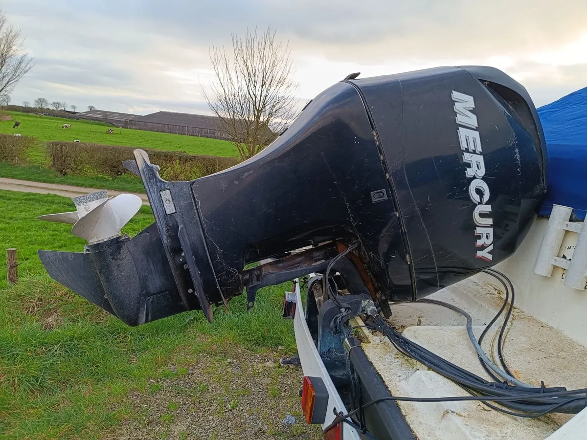 Mercury 100 - Image 3