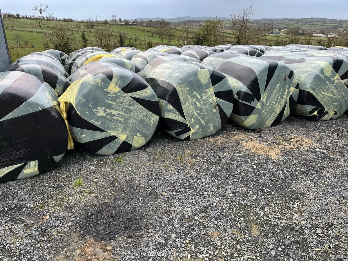 Silage for sale - Image 1