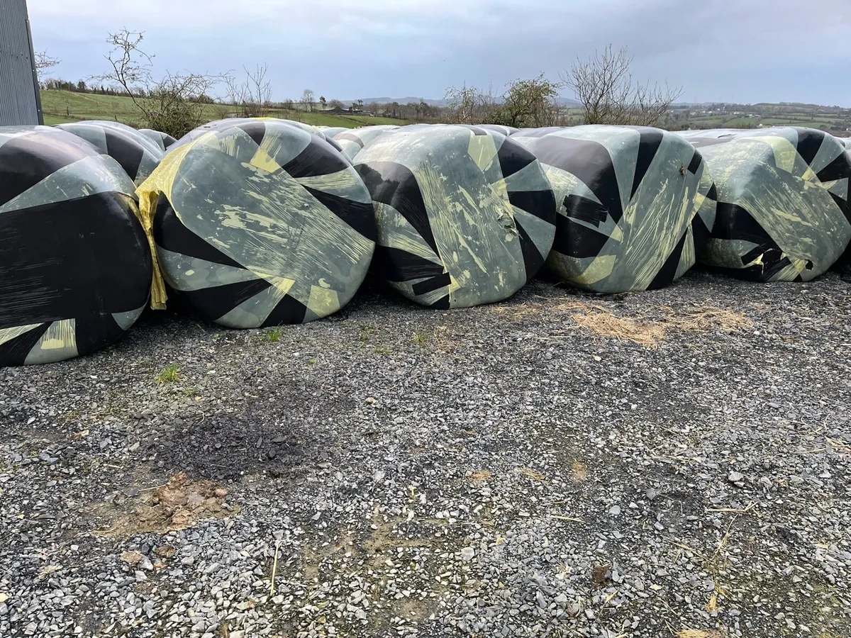Silage for sale - Image 2