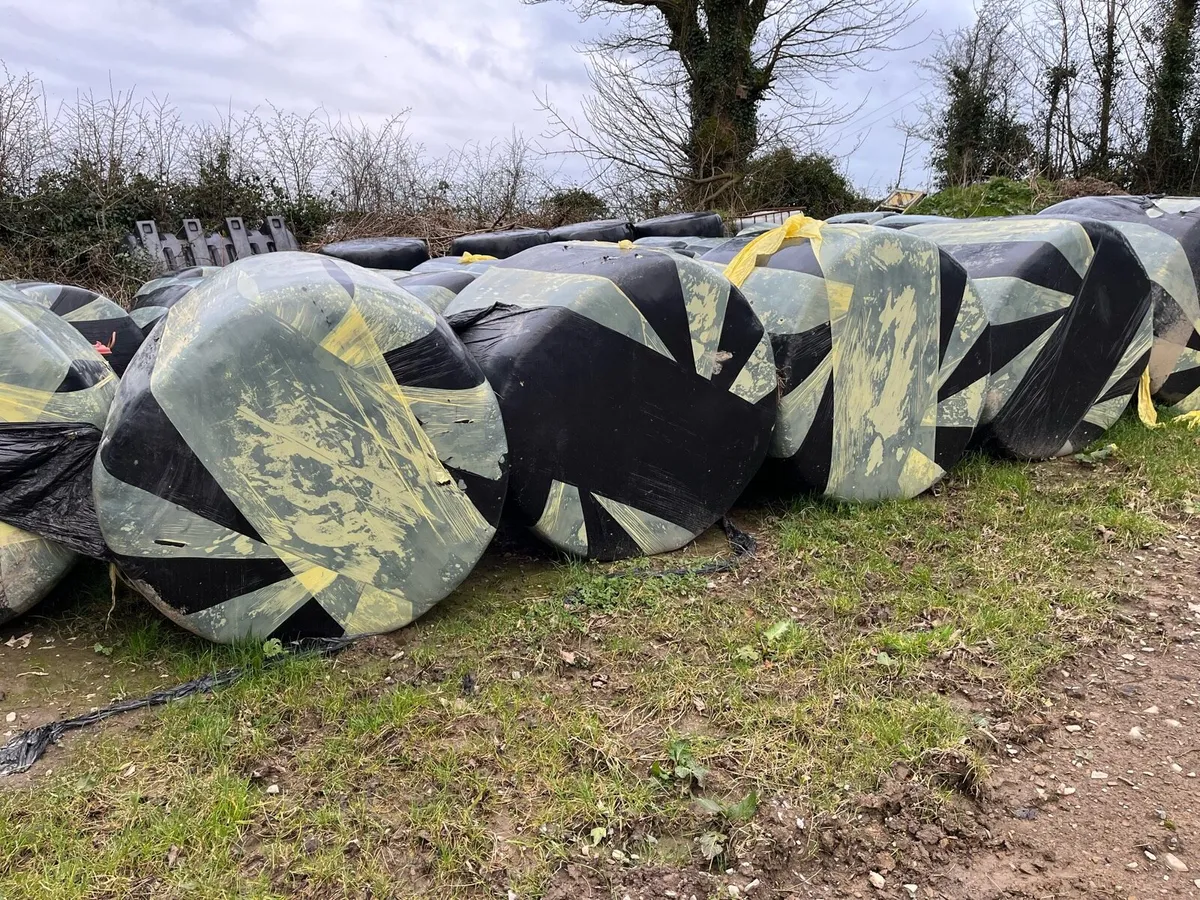 Silage for sale - Image 3