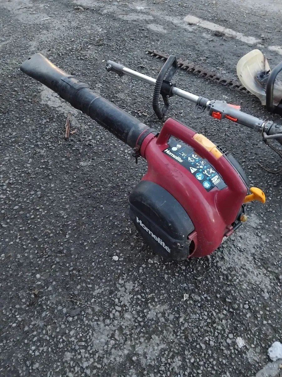 All for seal 30e each no offers read add - Image 1