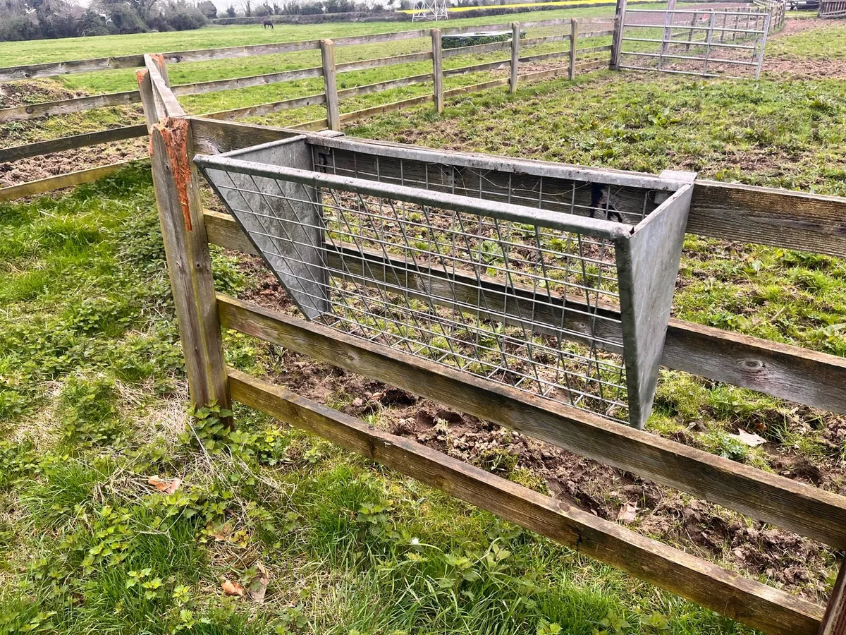 Hay Rake - 15 available - galvanised - Image 2