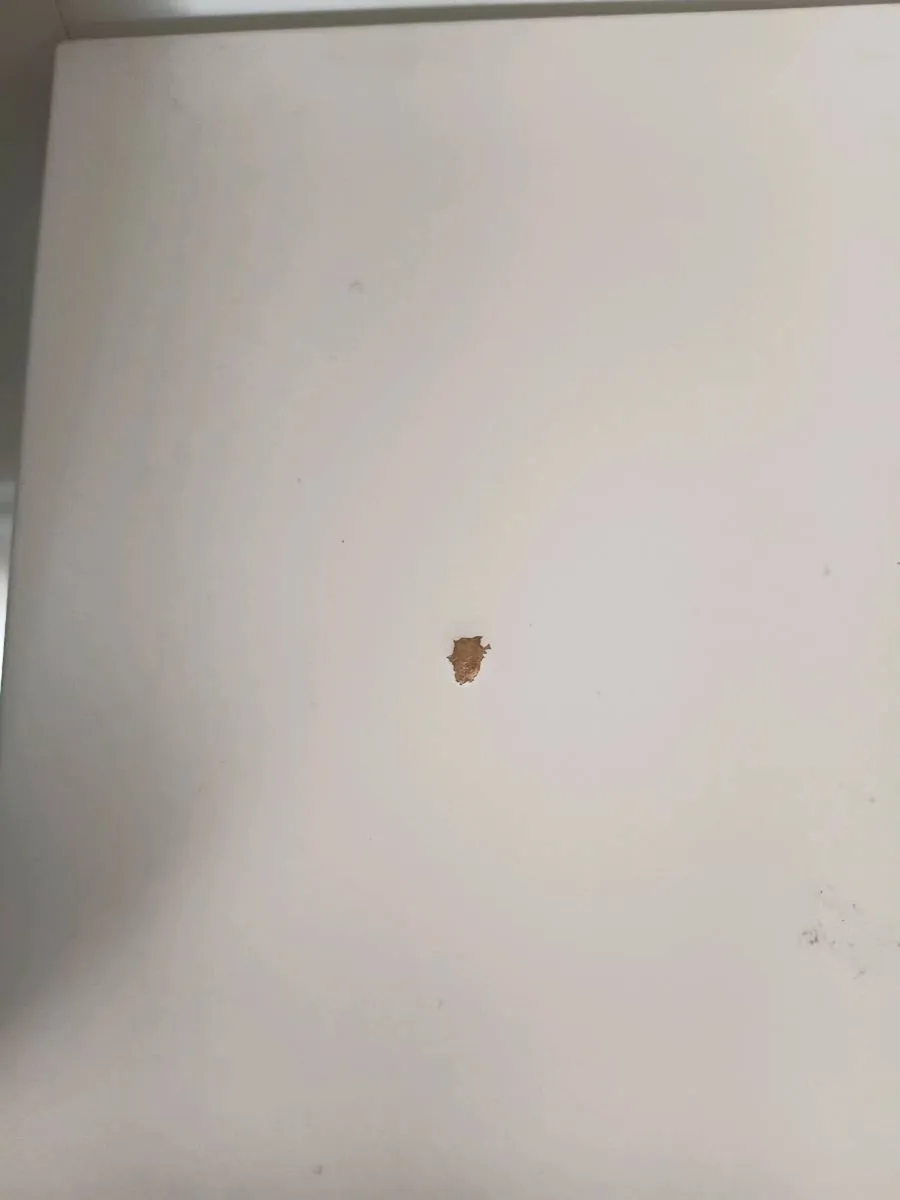 Ikea Loft bed - Image 4