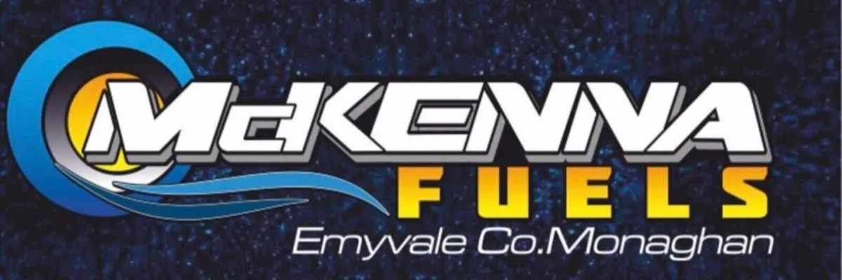 Hyundai 230V 18KW-22KVA Single Phase Generator - Image 3