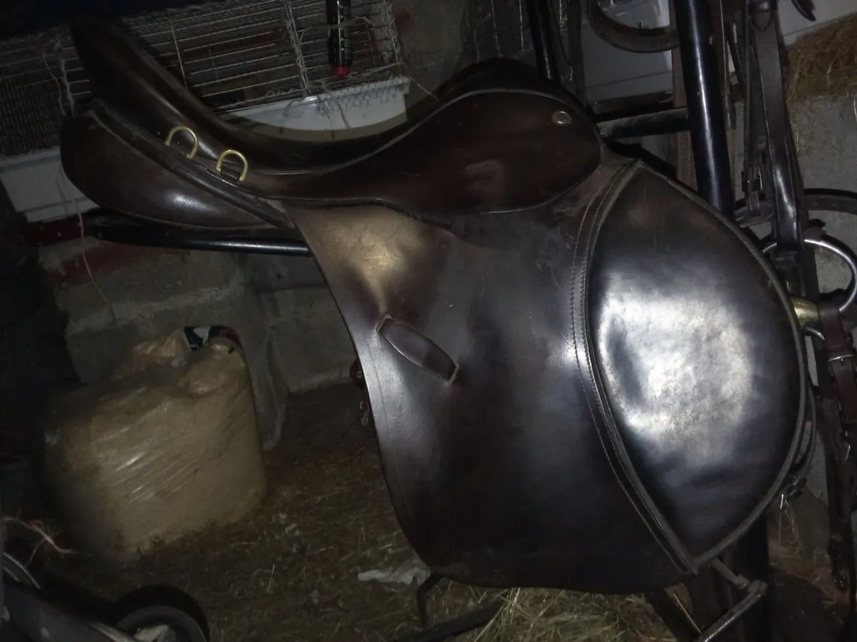 18" medium GP saddle