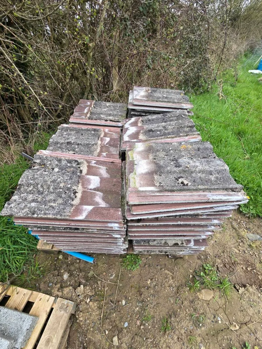 Roof tiles - Image 2