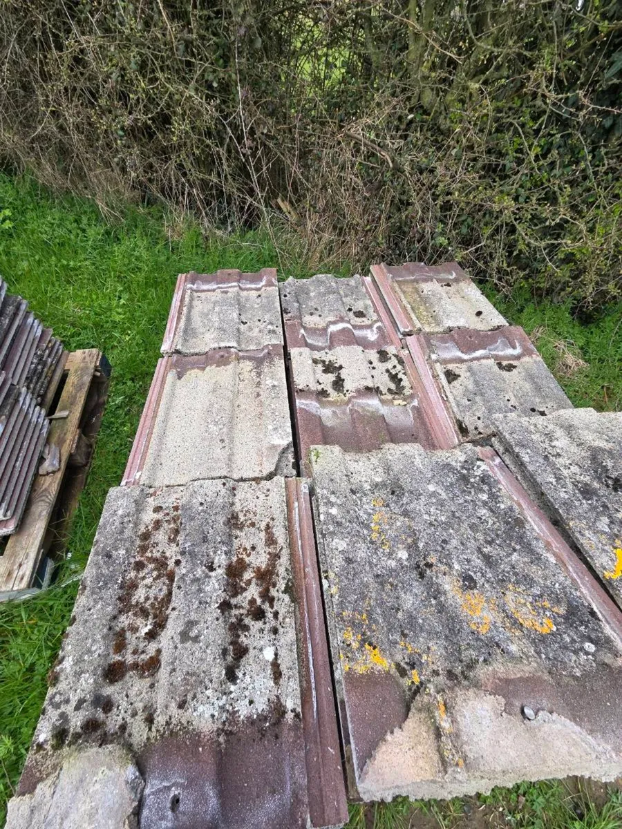 Roof tiles - Image 3