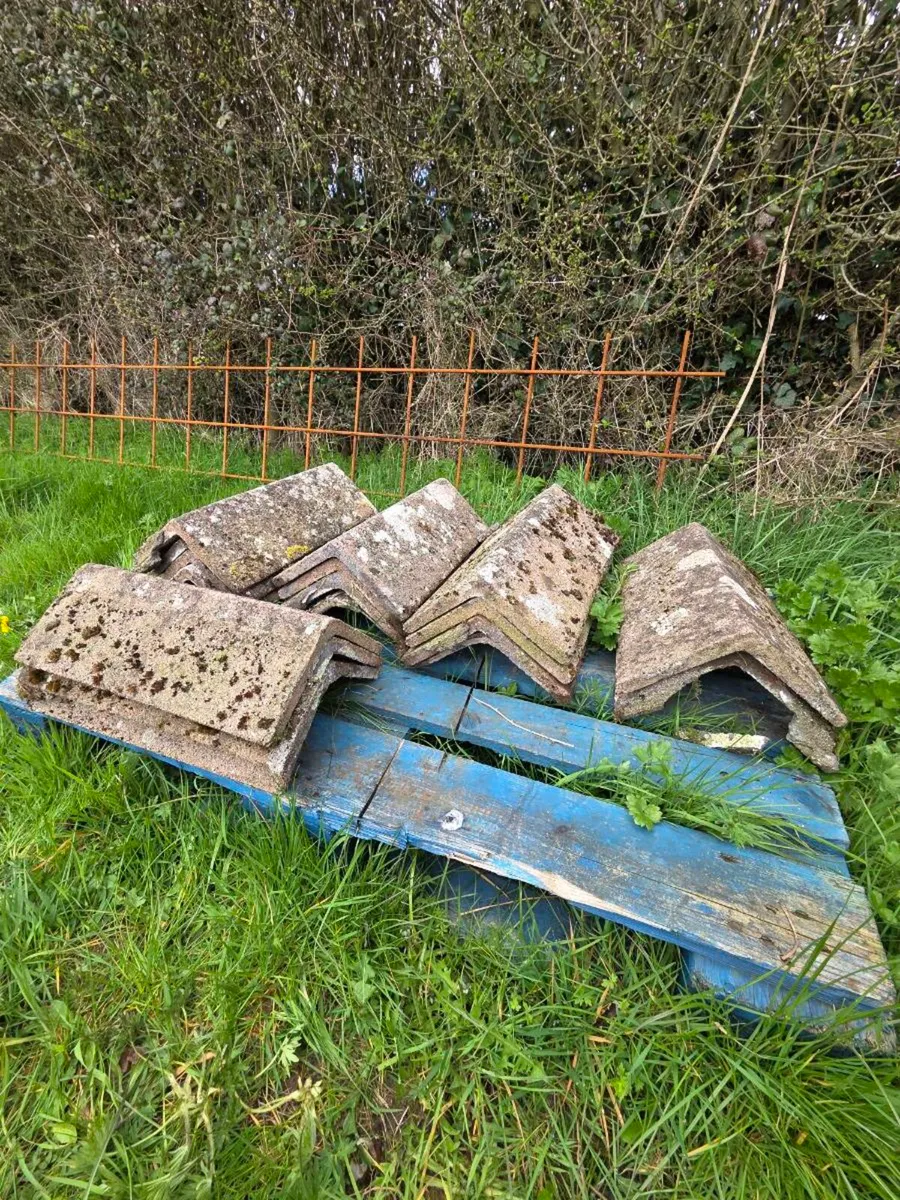 Tile ridge caps - Image 3