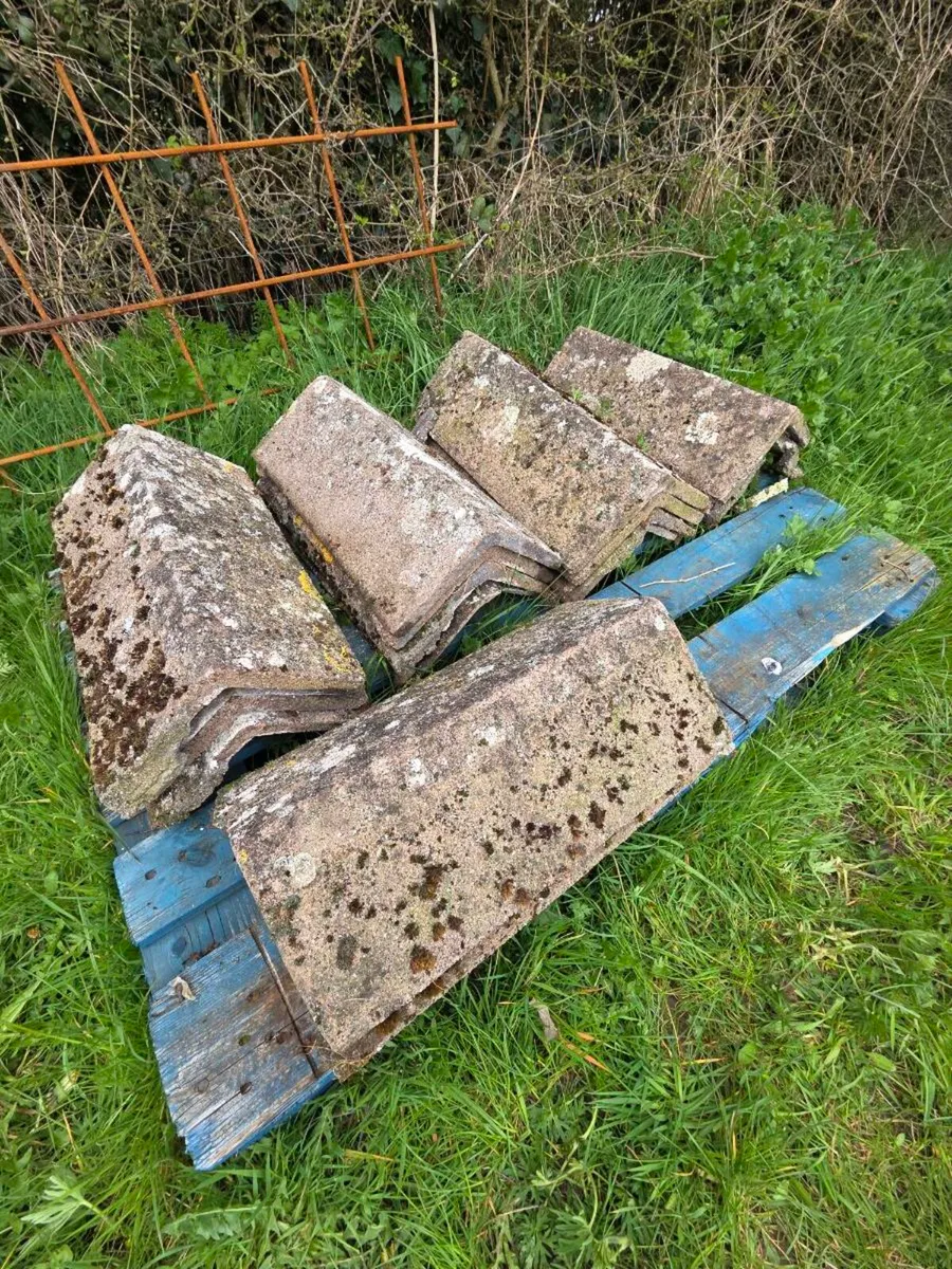 Tile ridge caps - Image 4