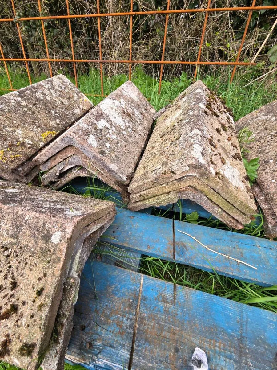 Tile ridge caps - Image 1