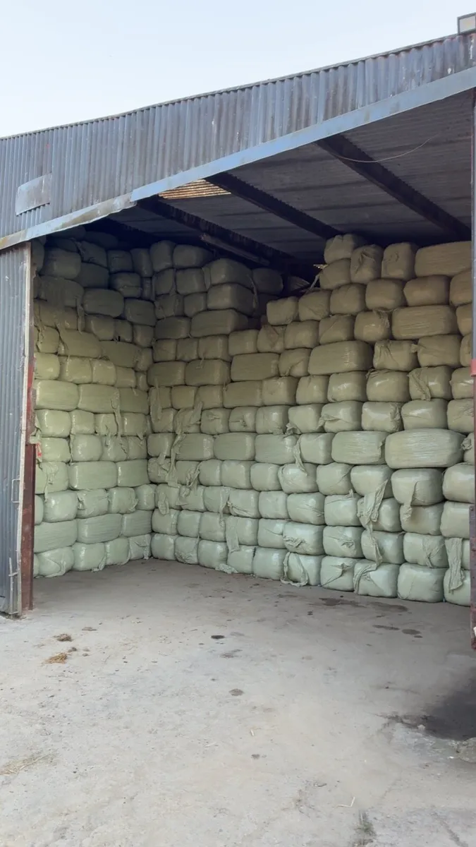 Haylage - Image 1