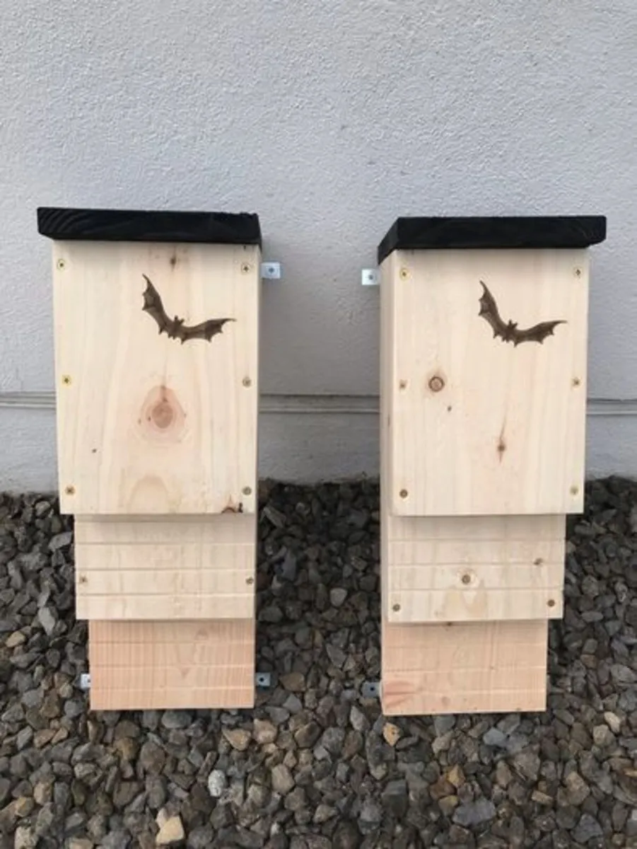 Bat Boxes - Image 1