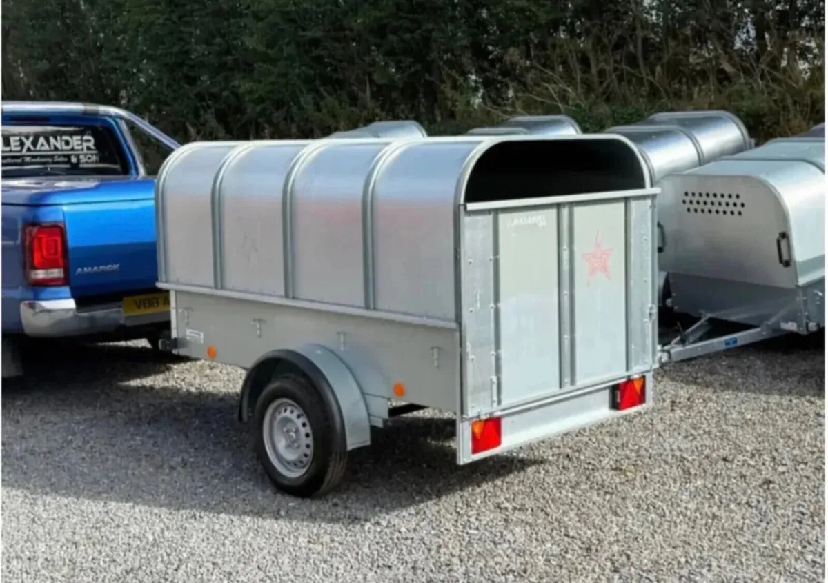 YOUNGSTOCK TRAILER 7x4 NEW - Image 2