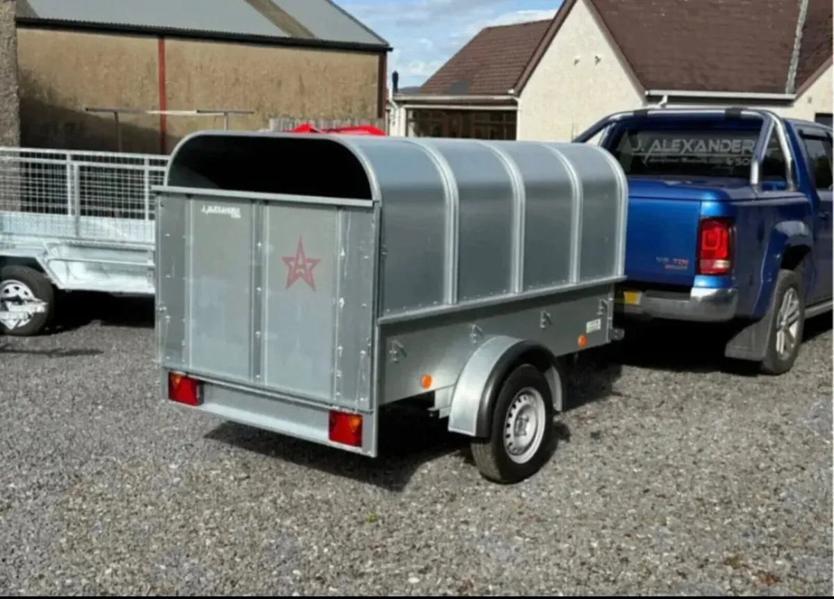 YOUNGSTOCK TRAILER 7x4 NEW - Image 3