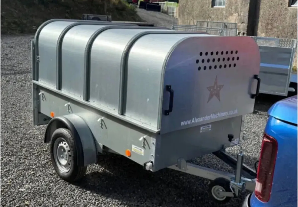 YOUNGSTOCK TRAILER 7x4 NEW - Image 4