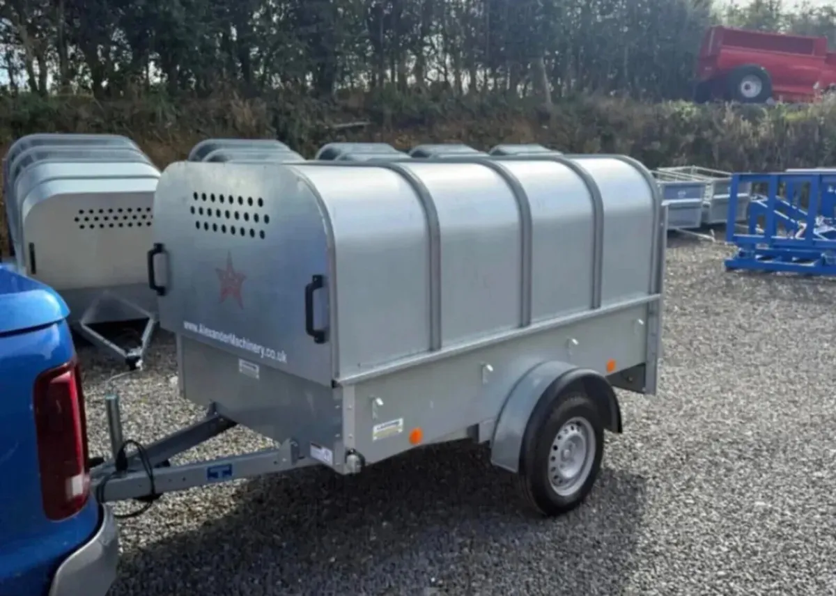 YOUNGSTOCK TRAILER 7x4 NEW - Image 1