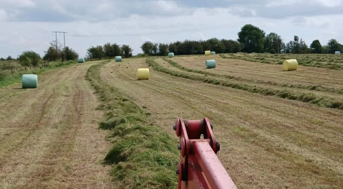 Silage bales