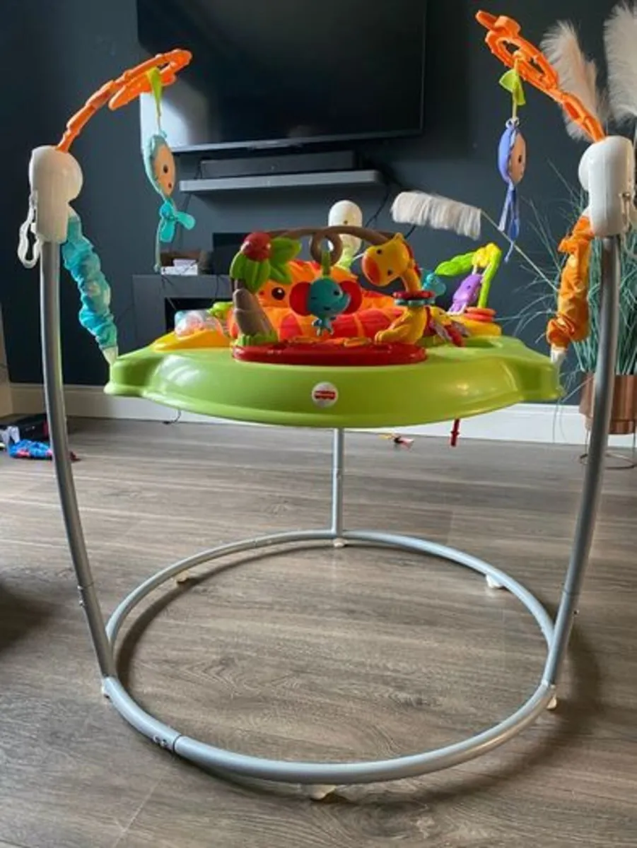 Fisherprice Jumperoo Bouncer - Image 1