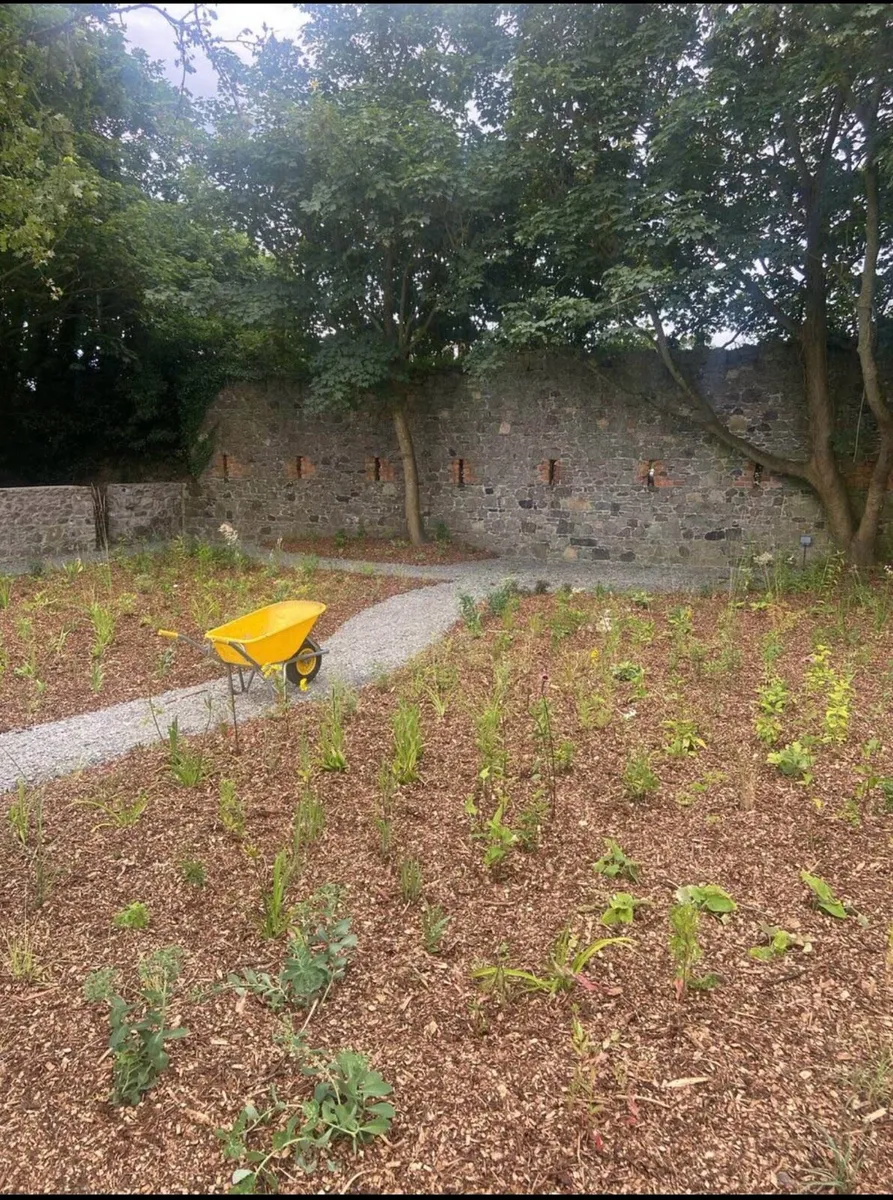 Garden Mulch - Image 2