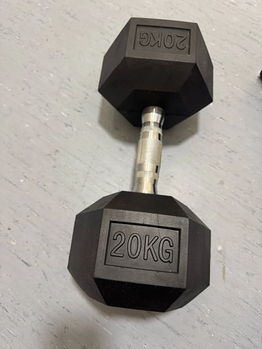 20kg Dumbbell Brand New Never Used - Image 1