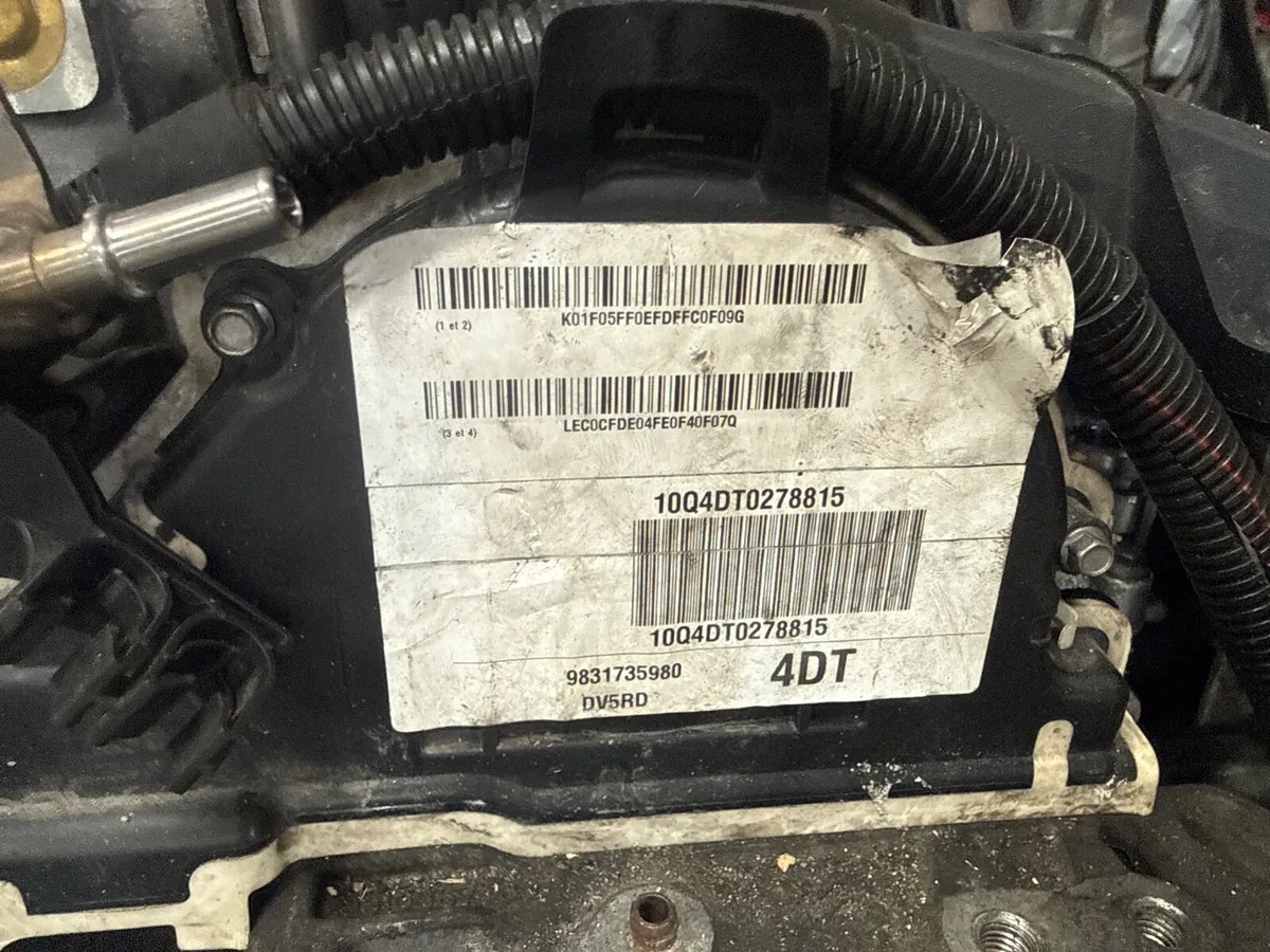 Pug partner 1.5 breaking - Image 2