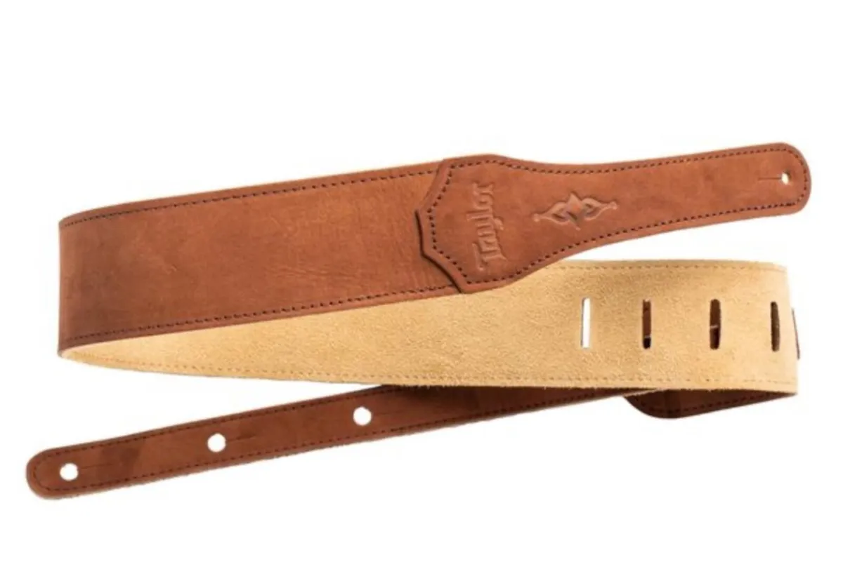 Taylor Legacy Edition 810e Guitar - Image 2