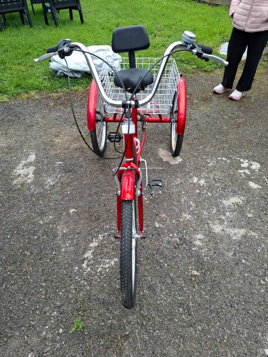 Three wheel bike - Image 2