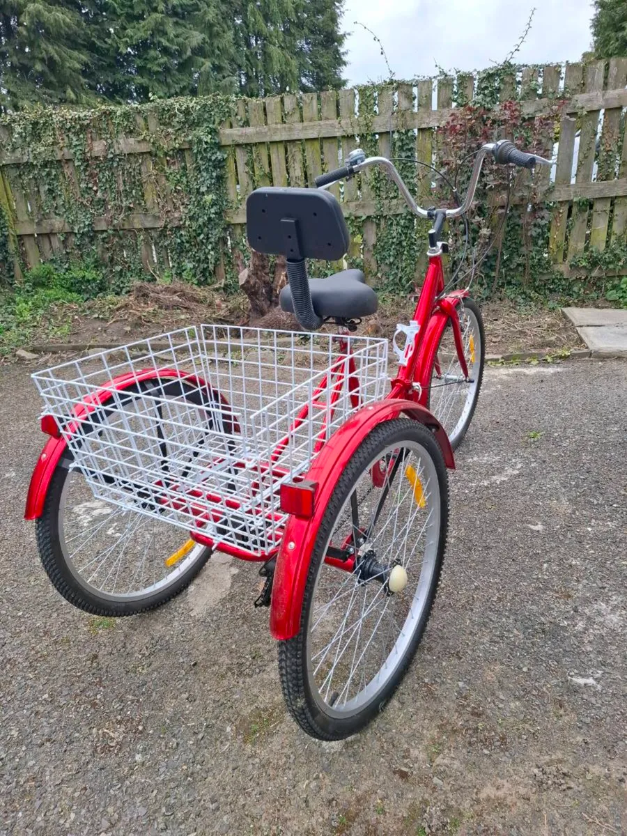 Three wheel bike - Image 3