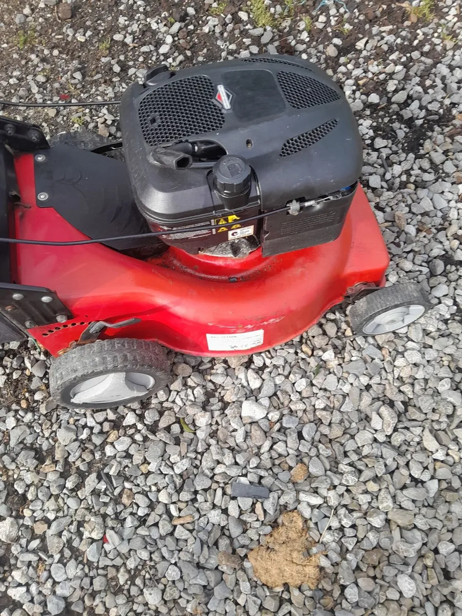 Self drive Lawnmower - Image 4