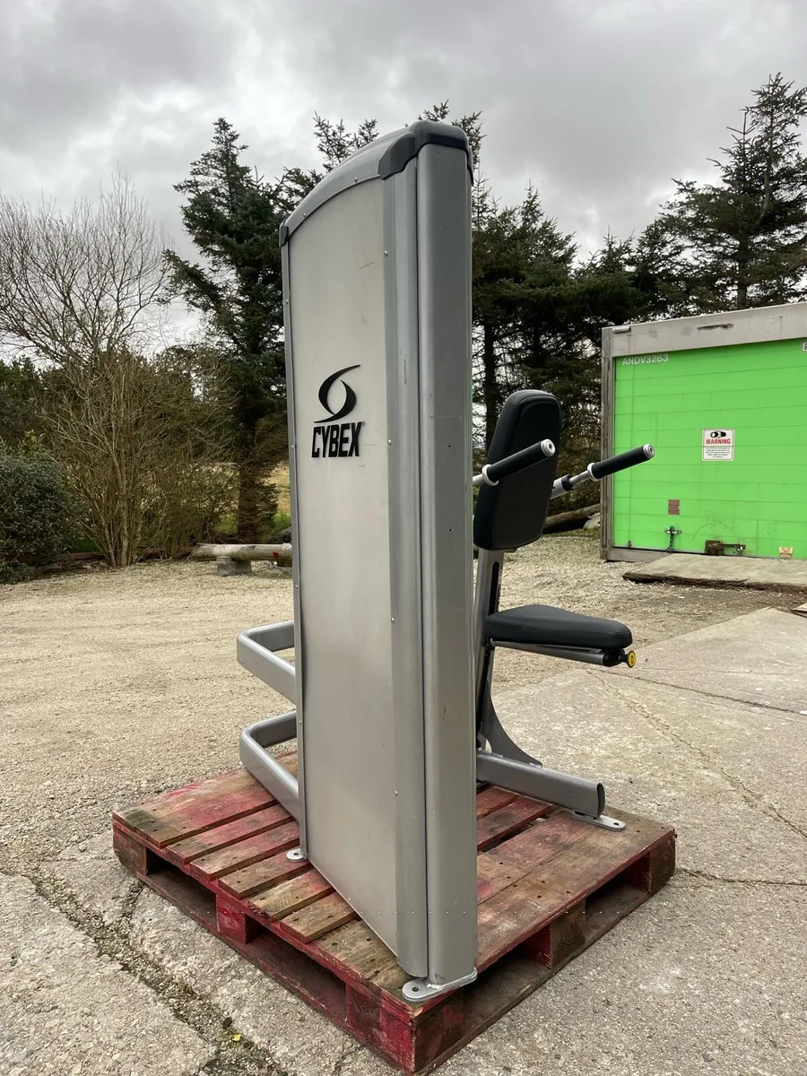 Cybex VR3 Tricep Press (Seated Dip) - Image 3