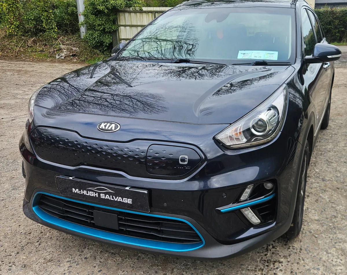 Kia Niro 2019 Electric 289km range - Image 1