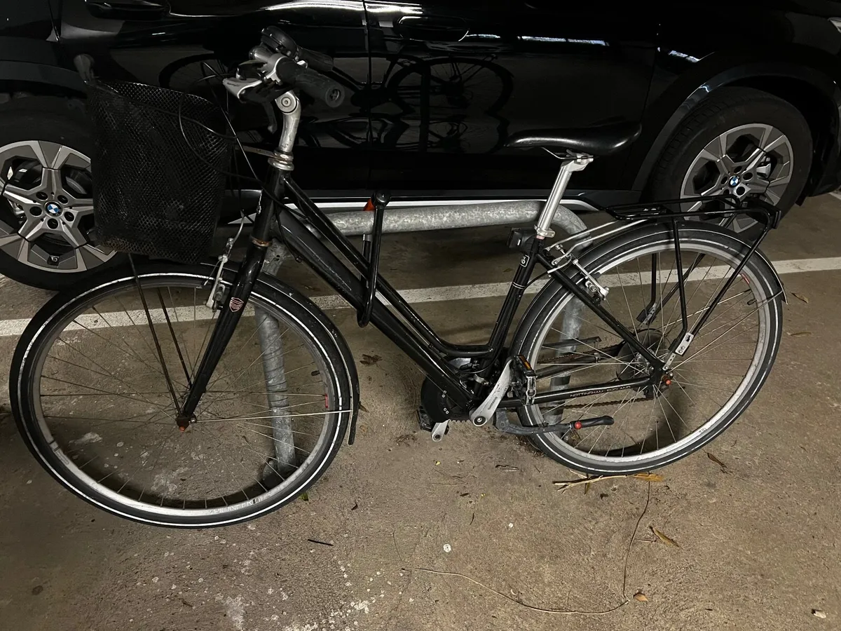 Pioneer Grand Tour Bike - Image 1