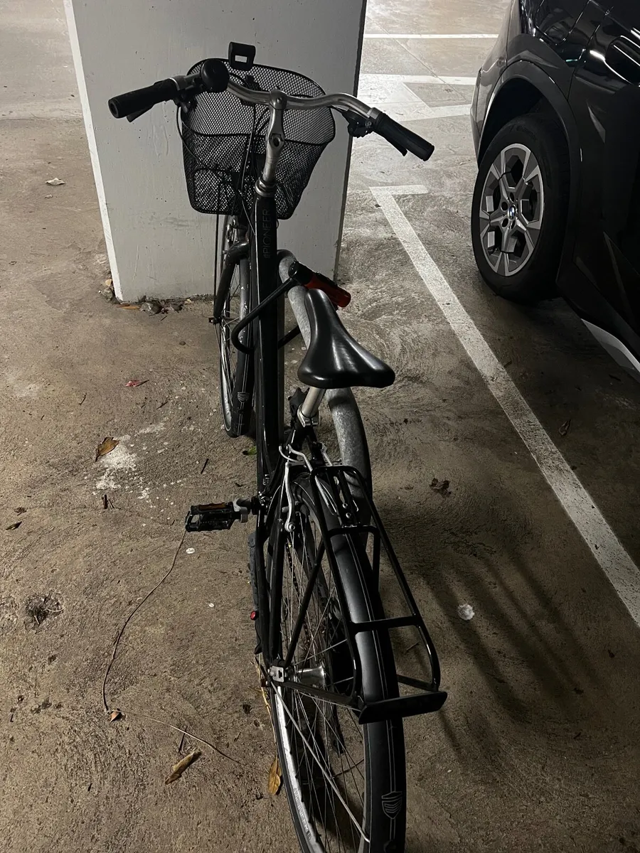 Pioneer Grand Tour Bike - Image 3