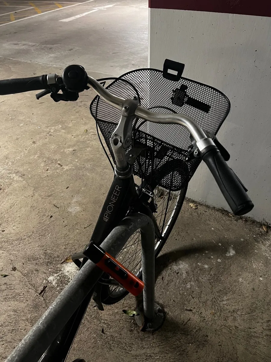 Pioneer Grand Tour Bike - Image 2