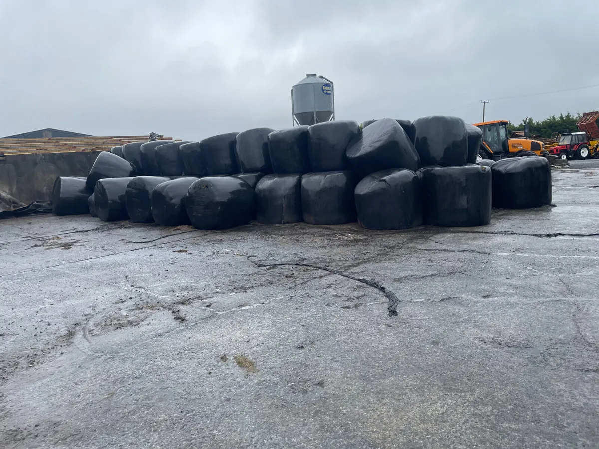 Haylage Round bales - Image 2