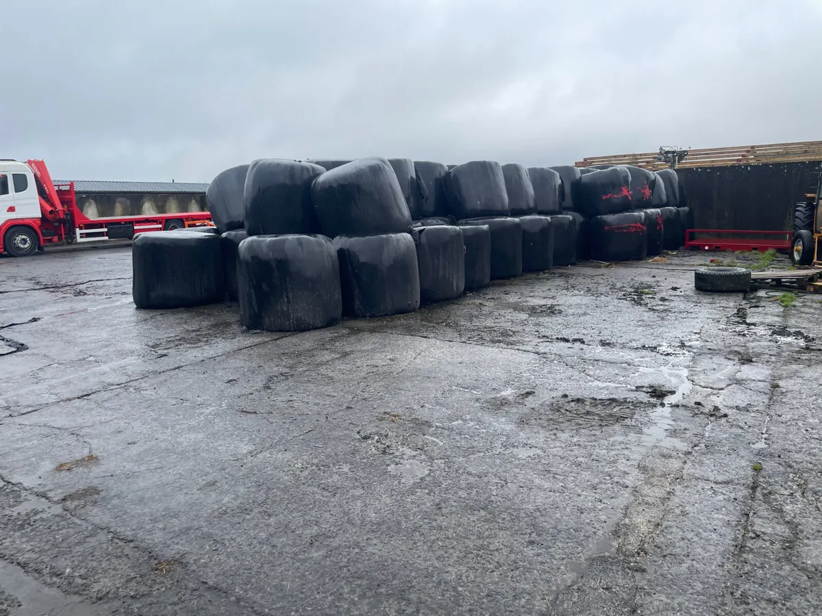 Haylage Round bales - Image 1