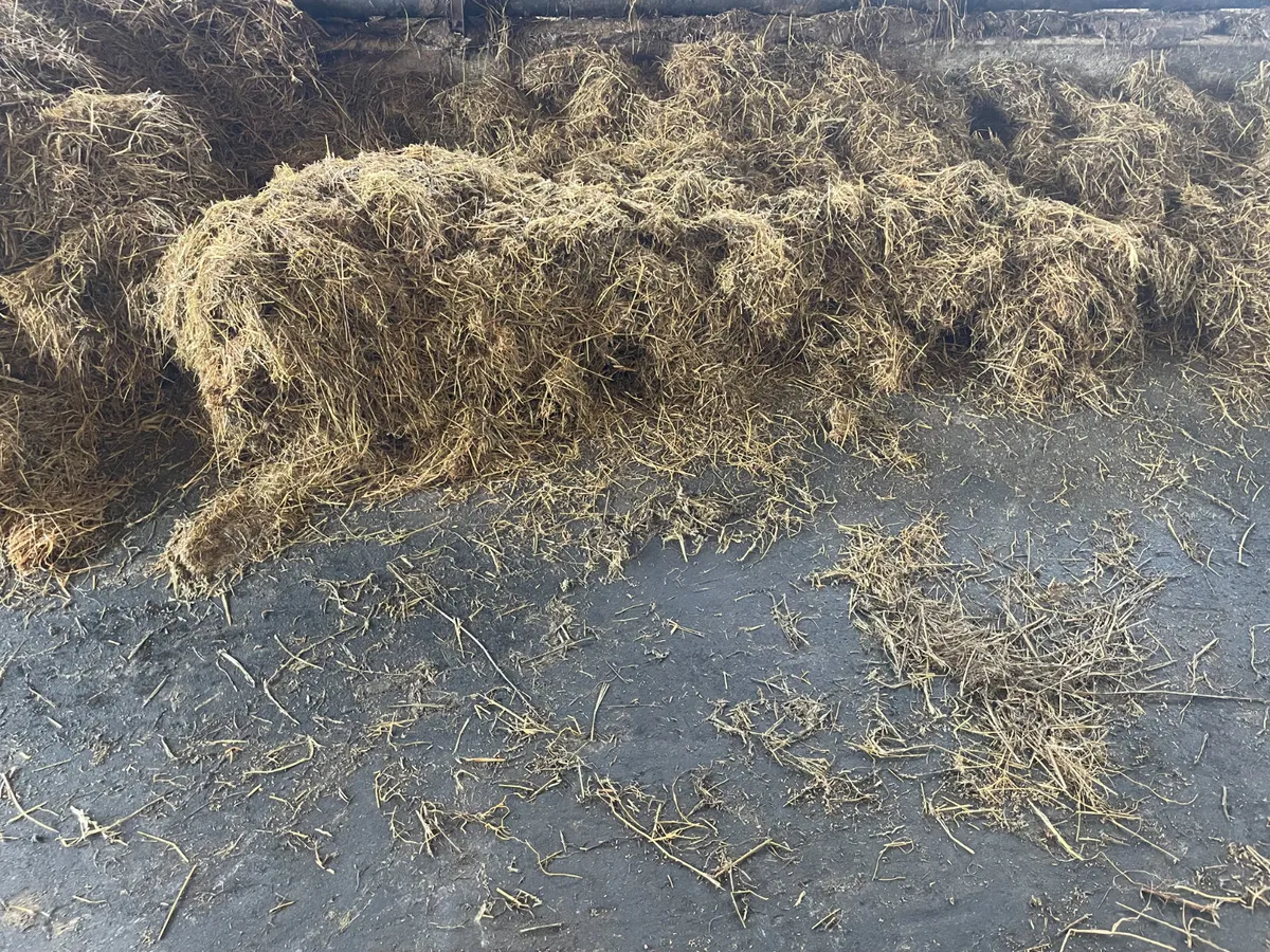 Haylage Round bales - Image 3
