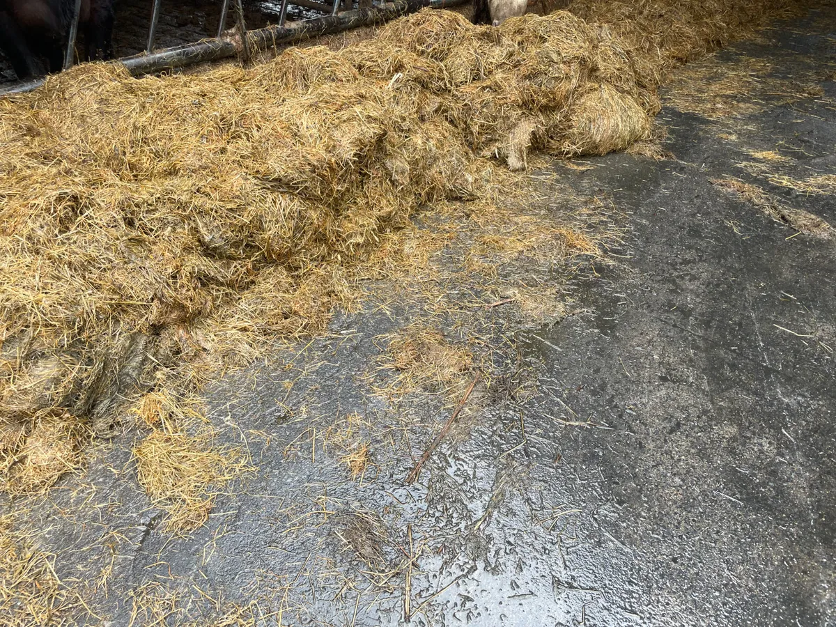 Haylage Round bales - Image 4