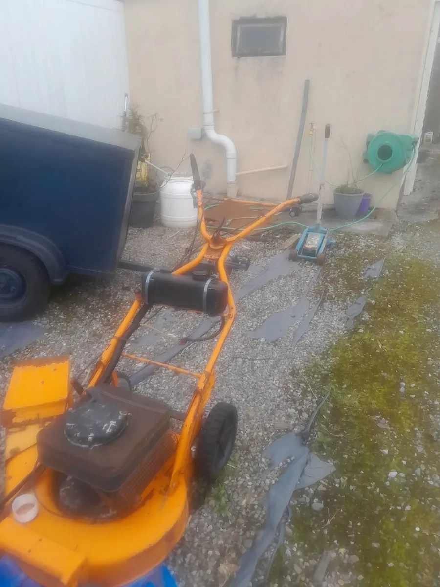 Lawnmower - Image 1