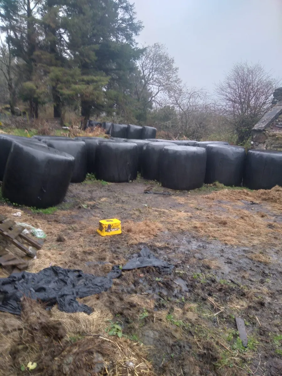 Silage bales - Image 2