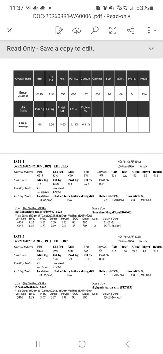 10 Ho/Fr heifer calves - Image 1