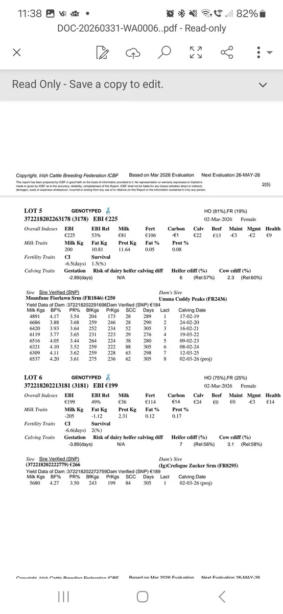 10 Ho/Fr heifer calves - Image 3