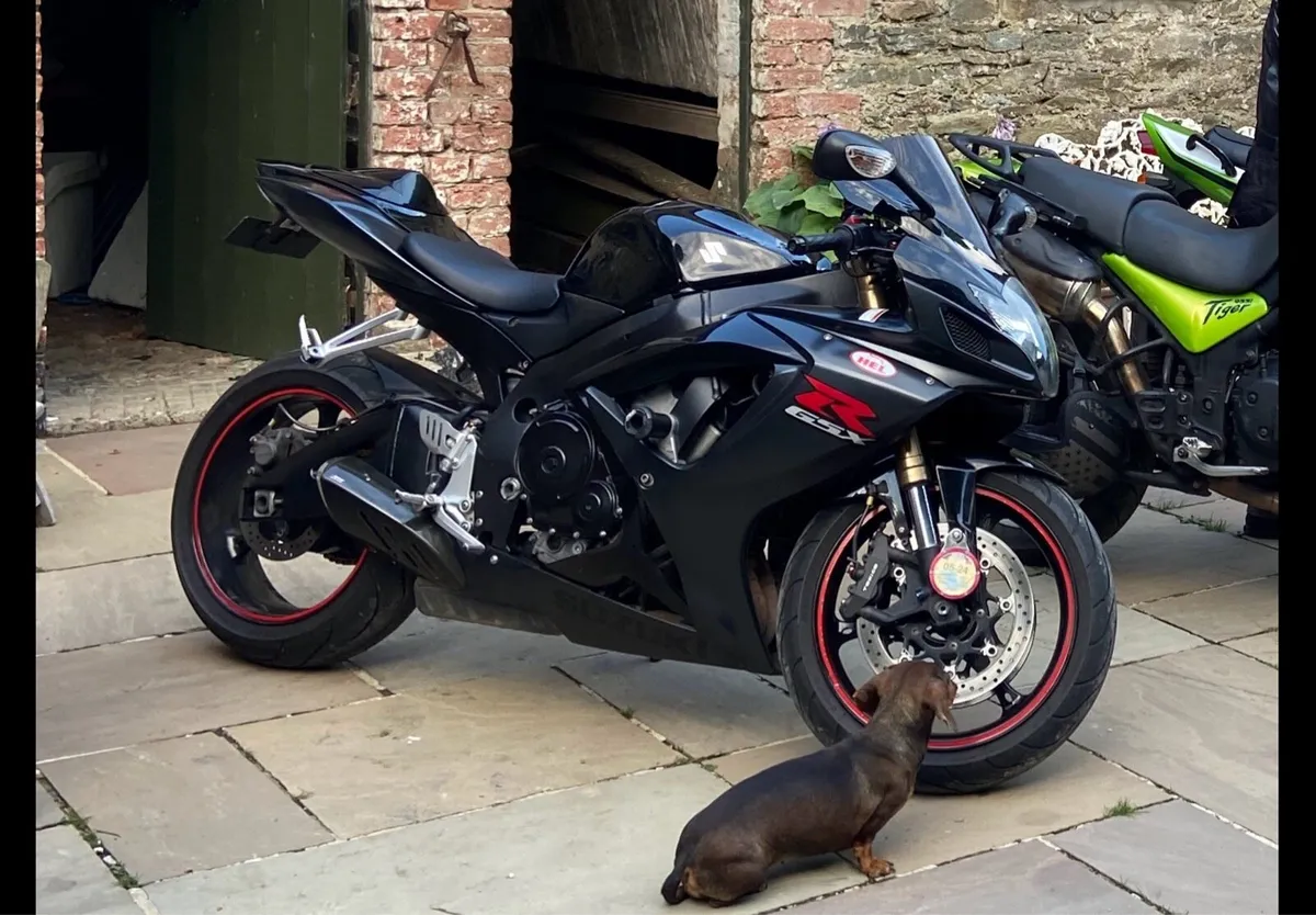 Suzuki GSXR 600 K7 (2008) | 34k | Very Clean - Image 1