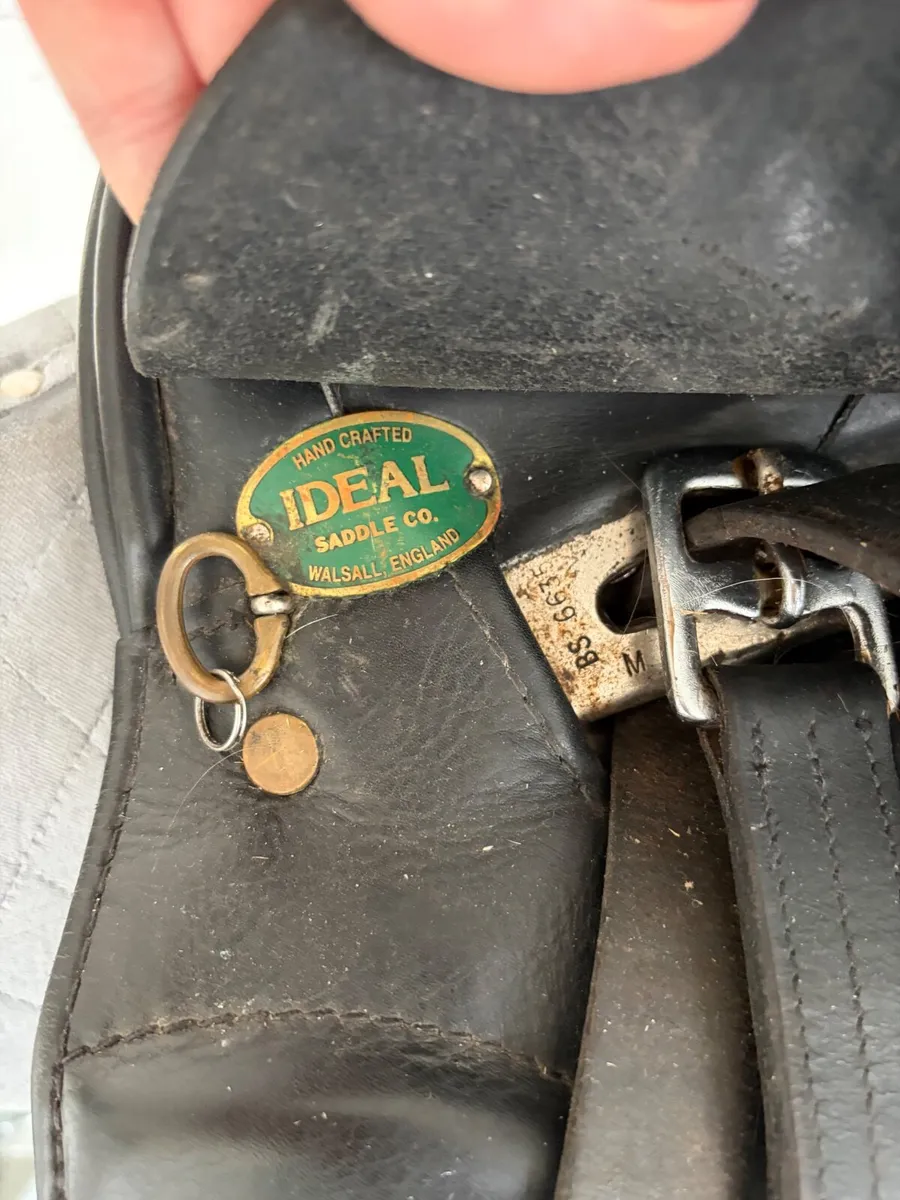 Saddle Ideal Jessica - Image 4