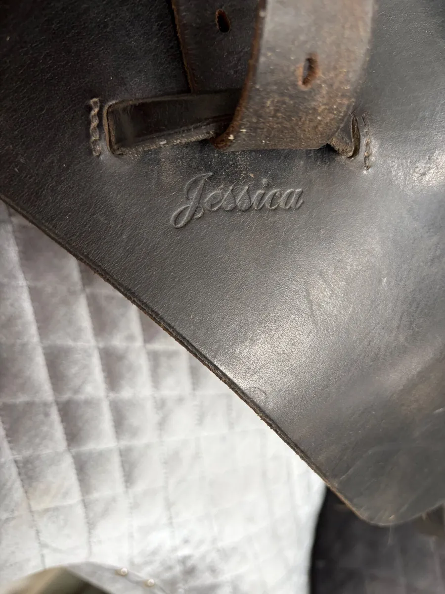 Saddle Ideal Jessica - Image 3