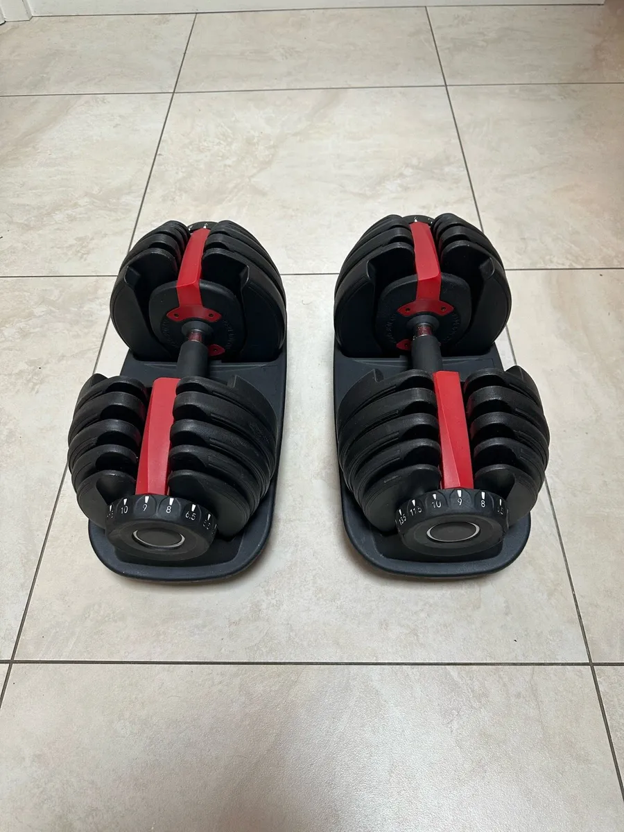 Adjustable Dumbbells 24kg - Image 1