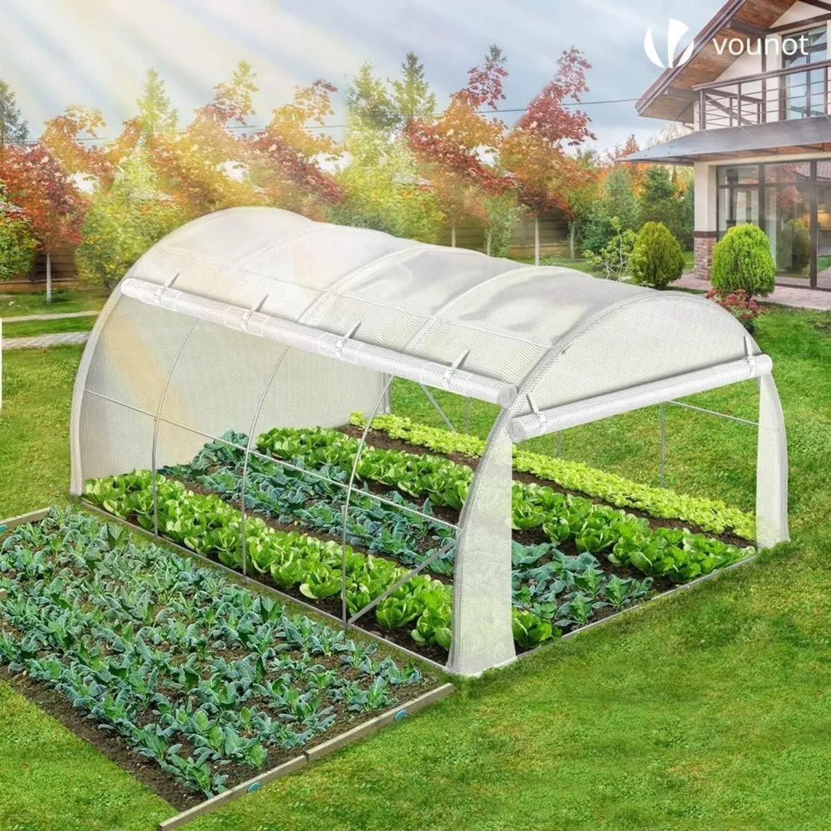 Walk In Polytunnel Greenhouse 4x3x2m 12m² - Image 3