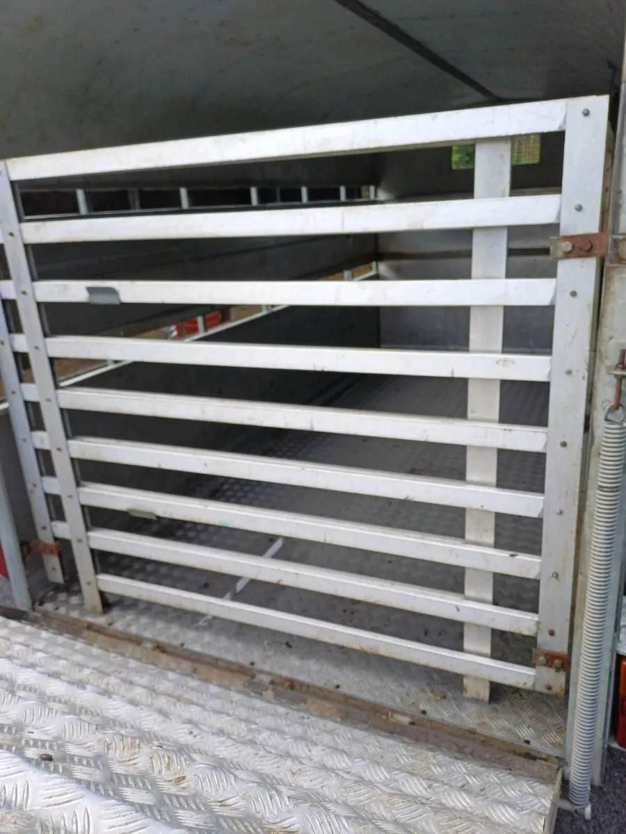 Nugent 12ft cattle trailer - Image 2
